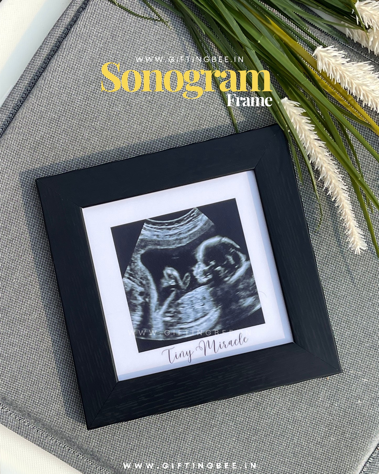 SONOGRAM FRAME